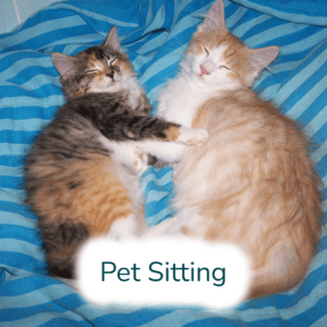 KimMaloniePetSittingButton Kim Malonie Pet Sitting